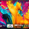 Sony Bravia Led
