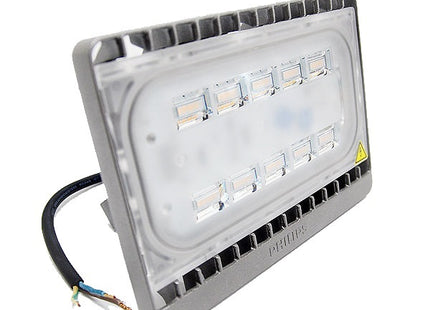 MODEL- FLOOD LIGHT 30 WATT MAKE-PHILIPS WARRANTY