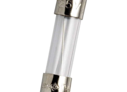 MODEL- GLASS FUSE 6 AMP