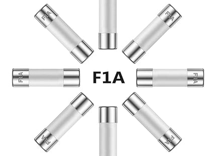 MODEL- FAST BLOW 5X20 CERAMIC TUBE FUSE 1 AMP