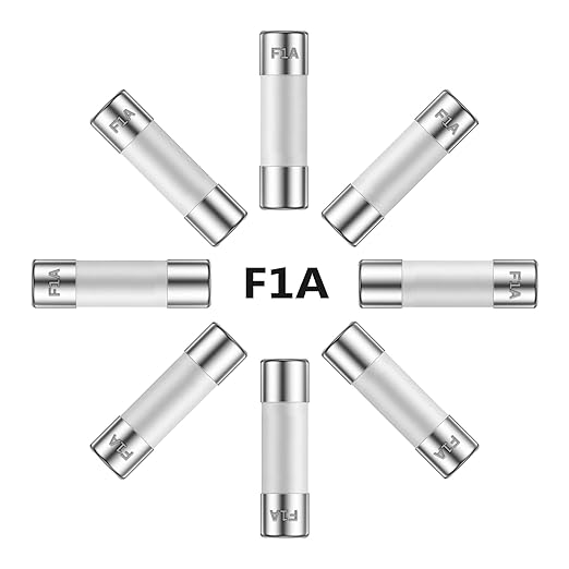 MODEL- FAST BLOW 5X20 CERAMIC TUBE FUSE 1 AMP