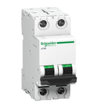 MODEL-A9N2P06C-ACTI9 MCBXC60 2P