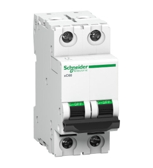 MODEL-A9N2P06C-ACTI9 MCBXC60 2P