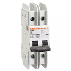 MODEL- MCB 2P 10AMP