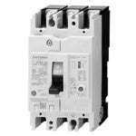 MODEL- NV125-SV 4P  100A 500MA