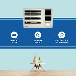 Blue Star 0.8 Ton 3 Star Window Inverter AC - White  (WFE309L, Copper Condenser)