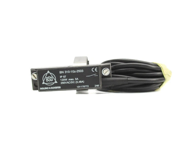 BN310-10Z-2503 250VAC/DC 0.48A NSNP