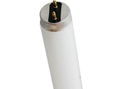 MODEL- OSRAM COLORPROOF L 36W/950  27-01-2026
